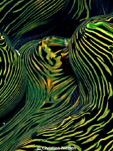 Art
I am impressed with the colours and patterns in the ... by Christian Nielsen 